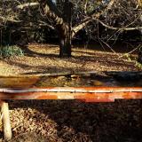 photo 2021-10-25 09-14-02