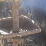 photo 2019-02-18 10-15-13