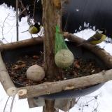 photo 2019-01-12 10-21-26