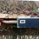 photo 2021-02-17 12-05-11