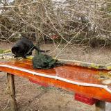 photo 2021-03-16 14-51-01