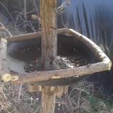 photo 2019-03-04 11-55-48