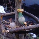 photo 2019-01-18 07-13-27