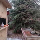 photo 2021-12-28 07-58-08