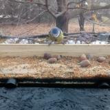 photo 2021-11-10 09-58-58