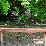 photo 2021-05-25 09-01-05