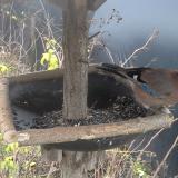 photo 2019-12-23 09-01-07