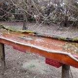 photo 2021-03-31 08-25-34