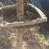 photo 2019-02-20 08-51-32