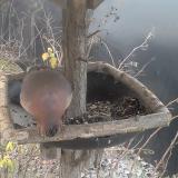 photo 2019-12-29 08-20-04