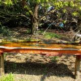 photo 2021-04-21 10-56-48