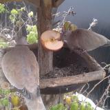 photo 2019-12-04 11-13-23