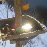 photo 2019-01-27 10-13-24