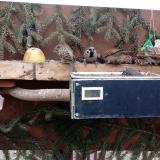 photo 2021-02-07 15-16-29