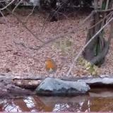 photo 2021-10-27 17-46-49 vorosbegy