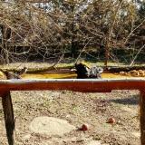 photo 2021-03-13 09-24-14