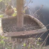 photo 2019-12-18 08-27-13