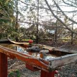 photo 2022-03-28 08-01-06