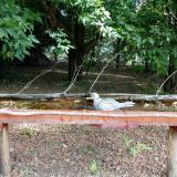 photo 2021-07-03 09-29-29