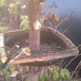 photo 2019-12-08 08-04-06