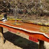 photo 2021-03-31 13-53-54