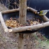 photo 2019-01-04 08-18-49