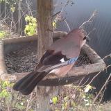 photo 2019-12-19 08-21-22