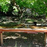 photo 2021-05-10 09-08-13