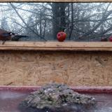 photo 2022-01-16 07-51-11