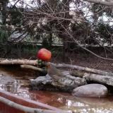 photo 2022-03-24 18-04-29 vorosbegy