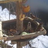 photo 2019-01-31 10-04-37