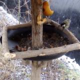 photo 2019-02-05 08-57-53