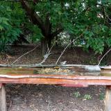 photo 2021-09-07 14-54-13