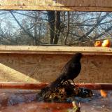 photo 2022-01-23 12-32-51