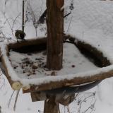 photo 2019-01-08 14-44-18