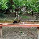 photo 2021-05-06 07-47-02