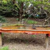 photo 2021-04-19 12-50-15