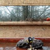 photo 2022-01-31 14-25-14