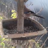 photo 2019-12-22 11-32-21