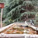 photo 2023-10-20 08-57-22