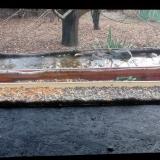 photo 2021-12-10 11-51-23