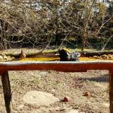 photo 2021-03-13 09-23-11