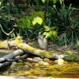 photo 2021-04-21 12-43-58 poszata