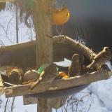 photo 2019-01-27 09-11-42