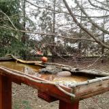 photo 2022-03-16 11-53-38