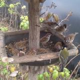 photo 2019-12-09 14-24-14