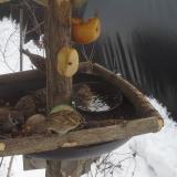 photo 2019-01-27 12-49-26