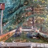 photo 2023-10-14 08-03-12