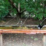 photo 2021-08-23 15-08-25