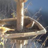 photo 2019-12-30 14-25-36